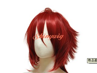 ライオンコスウィッグ